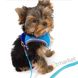 Coastal MESH Harness - шлея для щенков и маленьких собак - XS, Голубой