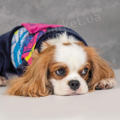 Pet Fashion ENIGMA - комбінезон для собак - Синій, XS % Petmarket