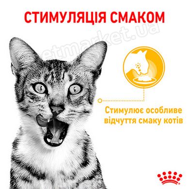Royal Canin Sensory Taste кусочки в желе - влажный корм для привередливых кошек - 85 г Petmarket