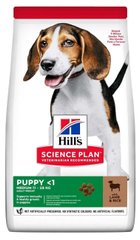 Hill's Science Plan PUPPY Medium Lamb & Rice - корм для цуценят середніх порід (ягня/рис) - 14 кг % Petmarket