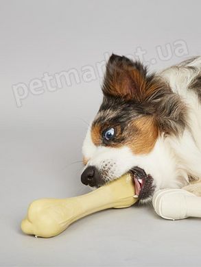 Petstages CHICK A BONE - игрушка-кость с ароматом курицы для собак - Small, 12 см Petmarket