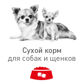 royal canin для собак і цуценят