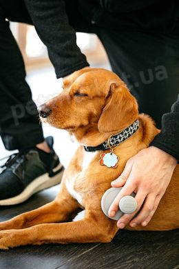 Dexas BRUSHBUSTER - БрашБустер - щітка для догляду за шерстю і шкірою собак - Сірий Petmarket