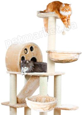 Trixie Allora ігровий комплекс для котів - 176 см, Бежевий % Petmarket
