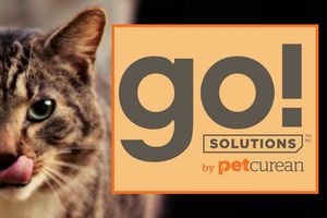 Обновленный дизайн упаковки, новые беззерновые формулы корма GO! для собак и кошек
