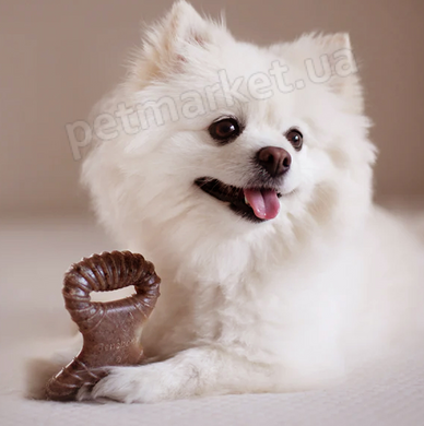 Benebone Dental Chew Bacon - міцна жувальна іграшка зі смаком бекону для собак Petmarket