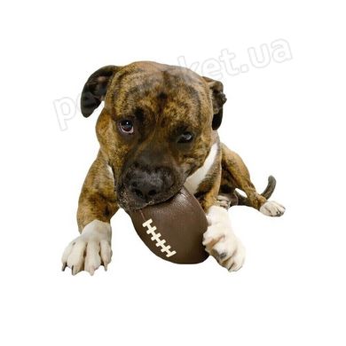 Planet Dog FOOTBALL - Американський футбол - м'яч-іграшка для собак Petmarket