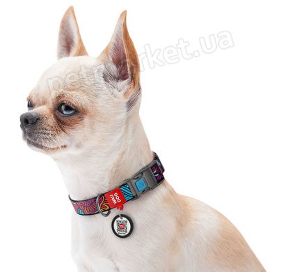 Collar WAUDOG Nylon Літо - нейлоновий нашийник для собак - 23-35 см Petmarket