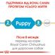 Royal Canin CHIHUAHUA Puppy - корм для щенков чихуахуа - 500 г %
