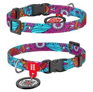 Collar WAUDOG Nylon Літо - нейлоновий нашийник для собак - 35-58 см Petmarket