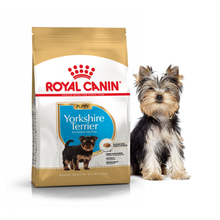 Royal Canin YORKSHIRE TERRIER Puppy - корм для цуценят йоркширського тер'єра - 1,5 кг + 4 пауча Petmarket