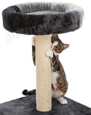 Trixie Junior Tarifa стовпчик-дряпка з лежанкою для кошенят - 52 см, Чорний/сірий % Petmarket