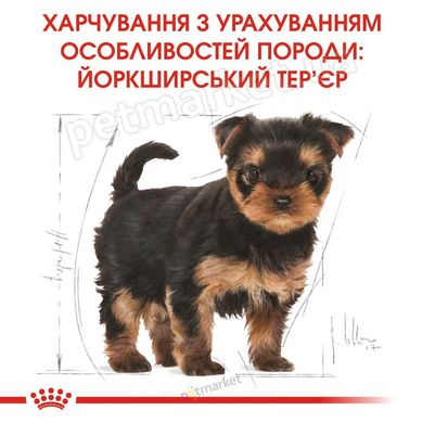 Royal Canin YORKSHIRE TERRIER Puppy - корм для цуценят йоркширського тер'єра - 1,5 кг Petmarket