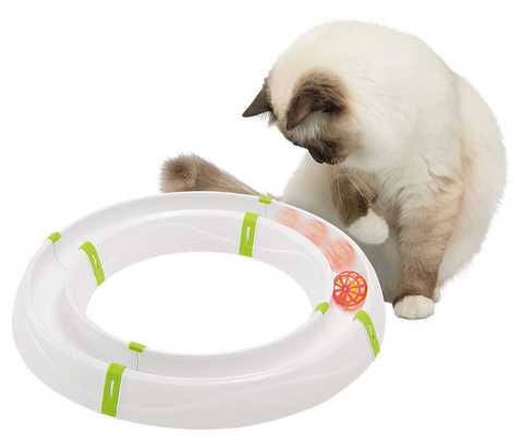 Игрушка для кошек с шариком по кругу – 3 вида развлечения для домашних любимцев