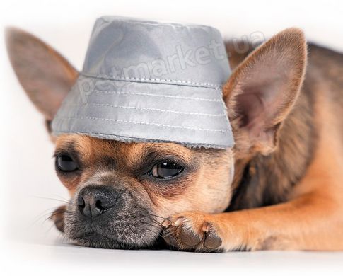 Pet Fashion PARTY теплая шапка для собак - XS % Petmarket