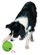 Trixie SNACK BALL - Снек Бол - інтерактивна іграшка для собак - 7 см