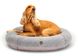 Harley and Cho BAGEL FUR - лежак для собак и кошек - M 75х65 см %