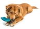 West Paw DASH Frisbee - Деш Фрісбі - іграшка для собак, блакитний