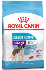 Royal Canin GIANT JUNIOR - корм для щенков гигантских пород с 8 месяцев - 15 кг % Petmarket