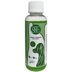 SynergyLabs SALON SELECT Herbal - шампунь на травах для собак и кошек Petmarket
