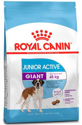 Royal Canin GIANT JUNIOR 8