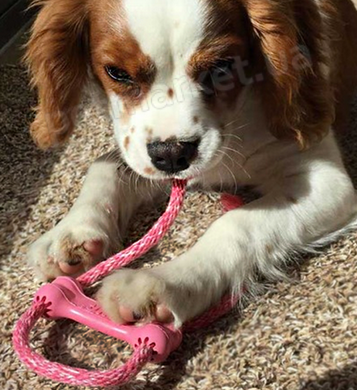 Kong Puppy Goodie Bone - косточка с веревкой для щенков мини пород Petmarket