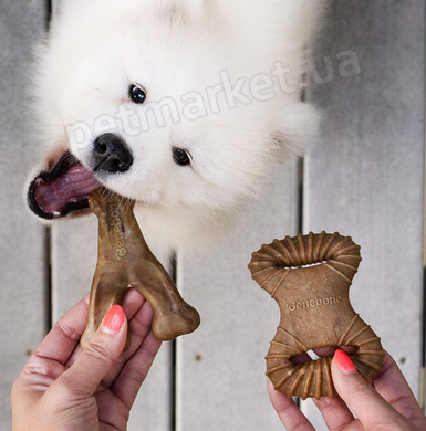 Benebone Tiny 2-Pack - набор из 2 прочных жевательных игрушек со вкусом бекона для собак мини пород Petmarket