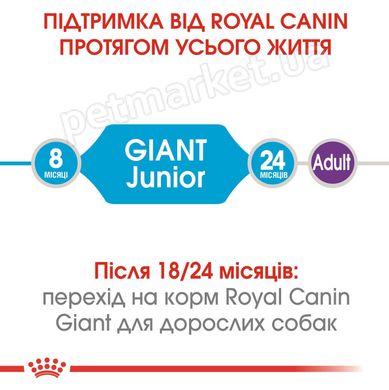 Royal Canin GIANT JUNIOR - корм для щенков гигантских пород с 8 месяцев - 15 кг % Petmarket