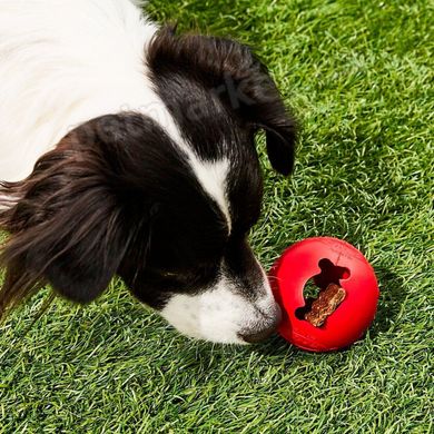 Kong BISCUIT BALL – М'яч для ласощів - іграшка для собак - S, червоний % Petmarket