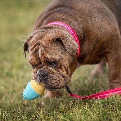 GF Pet Ice Cone Рожок - охлаждающая игрушка для собак и щенков Petmarket