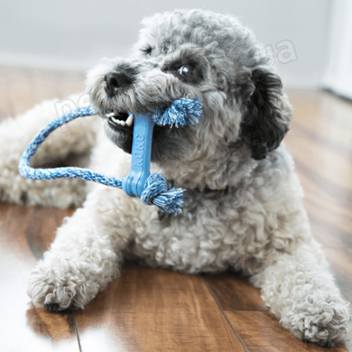 Kong Puppy Goodie Bone - косточка с веревкой для щенков мини пород Petmarket