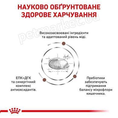 Royal Canin HEPATIC - лікувальний корм для кішок при хворобах печінки - 2 кг % Petmarket