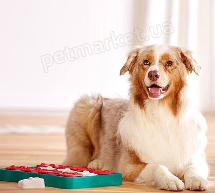 Nina Ottosson DOG BRICK - ДОГ БРІК - розвиваюча іграшка для собак Petmarket