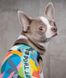 Pet Fashion COOL - майка для собак - XS