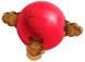 Kong BISCUIT BALL - Мяч для лакомств - игрушка для собак - S, красный %