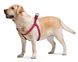 Collar WAUDOG Nylon Арбуз - нейлоновая шлея для собак - 50-80 см
