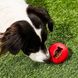 Kong BISCUIT BALL – М'яч для ласощів - іграшка для собак - S, червоний %