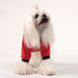 Pet Fashion HOLIDAY - теплая толстовка для собак - XS %