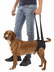 Trixie Walking Aid поддерживающая шлея для собак до 35 кг - 65-75 см Petmarket