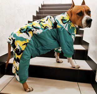 Dobaz RUIS PET Skier - зимовий комбінезон для великих собак - блакитний, 5XL % Petmarket