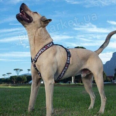 Rogz FANCY DRESS Hound Dog - нейлоновая шлея для собак - XL Petmarket