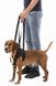 Trixie Walking Aid поддерживающая шлея для собак до 25 кг - 55-65 см