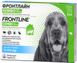 Frontline Combo капли от блох и клещей для собак весом 10-20 кг - 1 пипетка