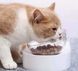 PetKit TWO Bowl Stand - дві миски на підставці для котів, білий