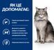 Hill&rsquo;s PD L/d - диетический корм для кошек с заболеваниями печени - 1,5 кг