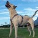 Rogz FANCY DRESS Hound Dog - нейлоновая шлея для собак - L
