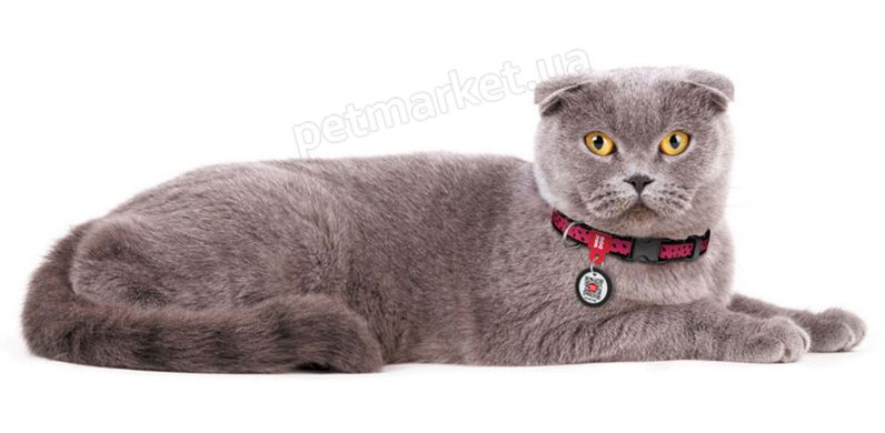 Collar WAUDOG Nylon Арбуз - нейлоновый ошейник для мелких пород собак и кошек - 20-30 см Petmarket