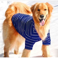 IsPet LALA SPORT футболка для крупных собак собак - 7XL, Синий % РАСПРОДАЖА Petmarket