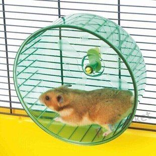 Savic ROLLY - бігове колесо для гризунів Petmarket