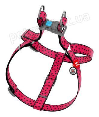 Collar WAUDOG Nylon Кавун - нейлонова шлея для собак - 60-90 см Petmarket